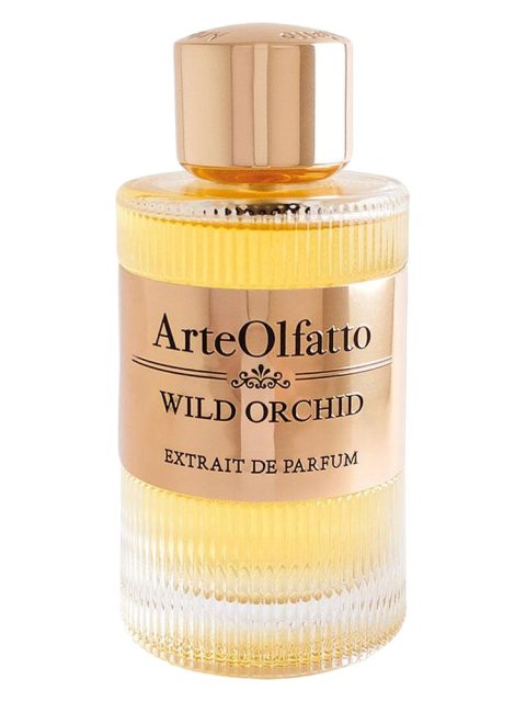 Wild Orchid