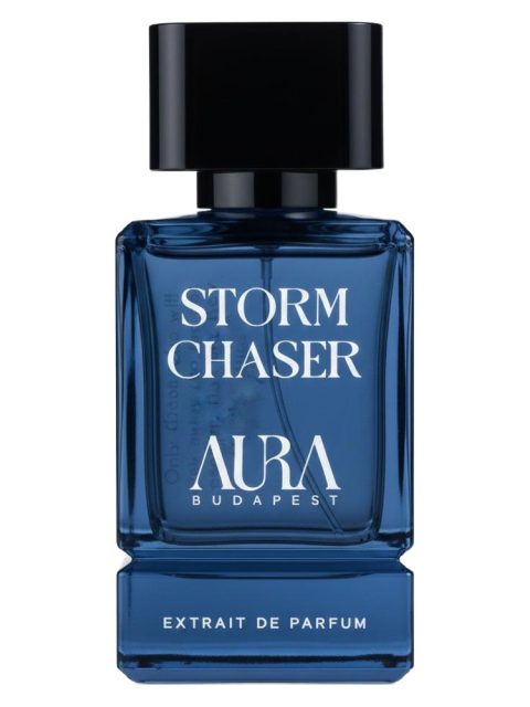 Storm Chaser
