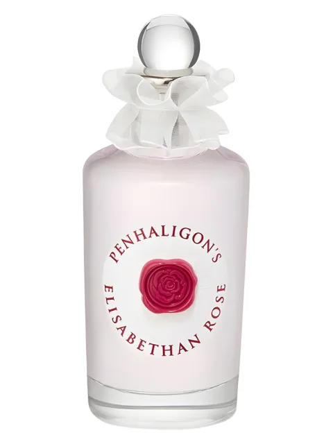 Elisabethan Rose