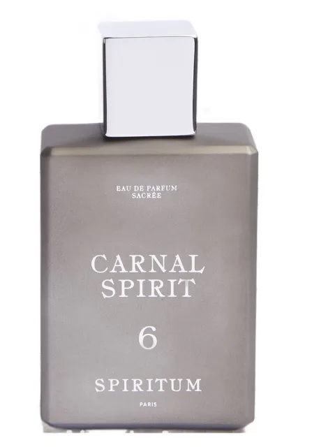 6 Carnal Spirit
