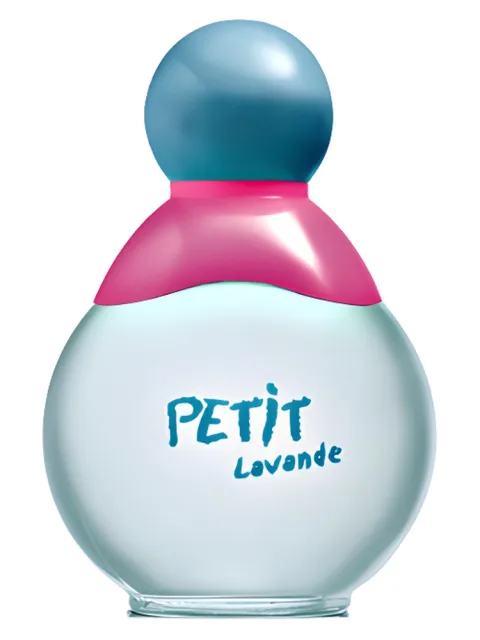 Petit Lavande