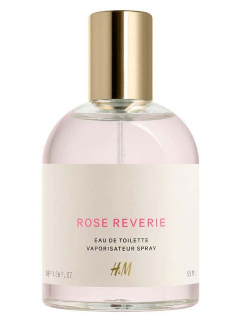 Rose Reverie