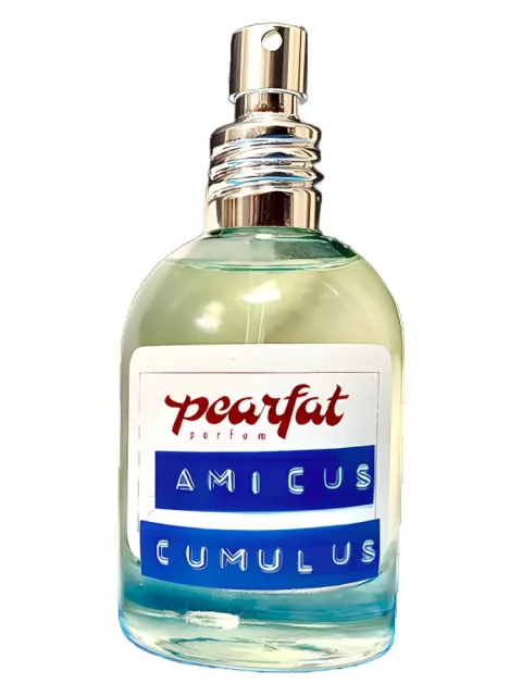Amicus Cumulus