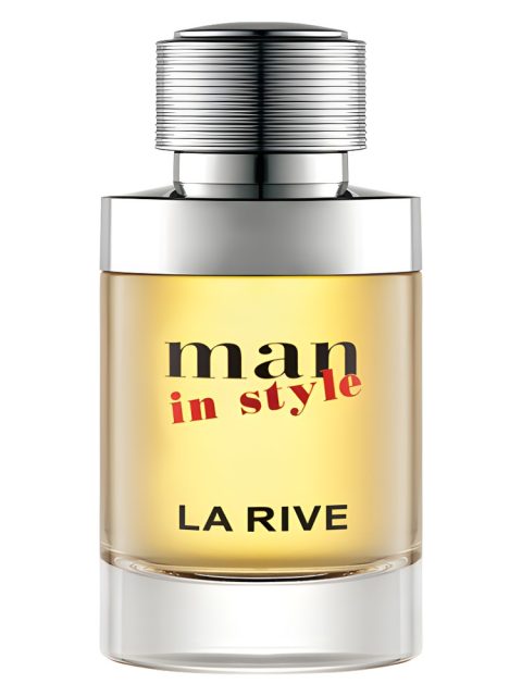 Man in Style