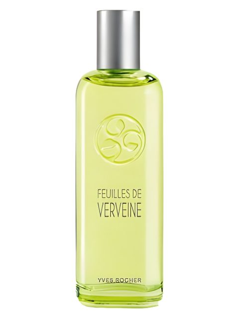 Feuilles de Verveine