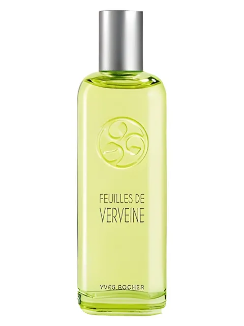 Feuilles de Verveine