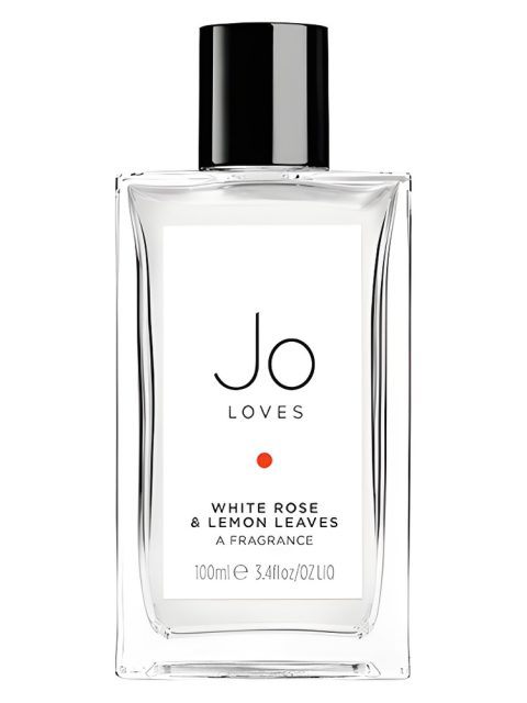White Rose & Lemon Leaves
