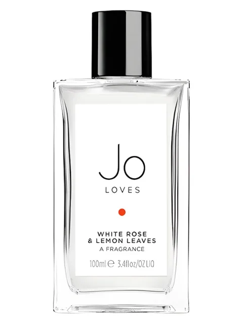 White Rose & Lemon Leaves