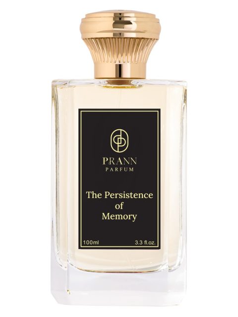 The Persistence of Memory