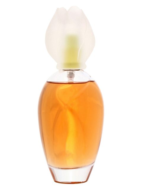 Fleur de Narcisse
