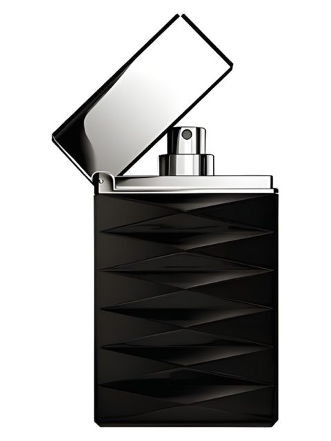 Armani Attitude