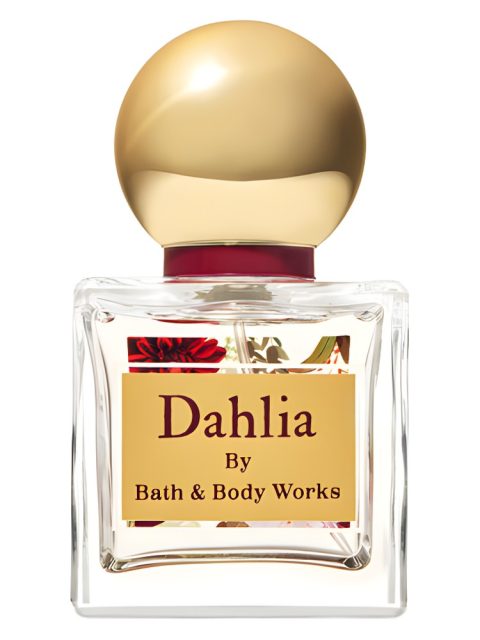 Dahlia