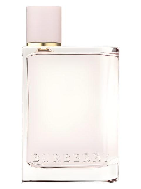 Burberry Her
