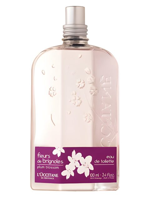 Fleurs de Brignoles (Plum Blossom)
