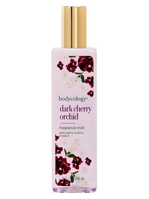 Dark Cherry Orchid