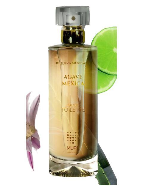 Agave Mexica