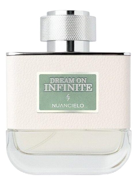 Dream On Infinite