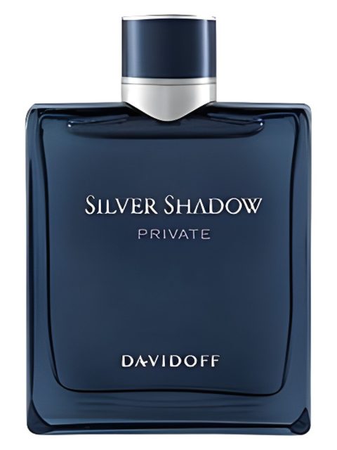 Silver Shadow Private