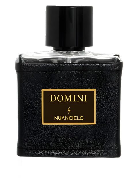 Domini