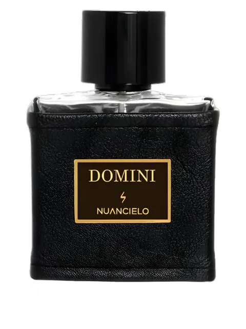 Domini