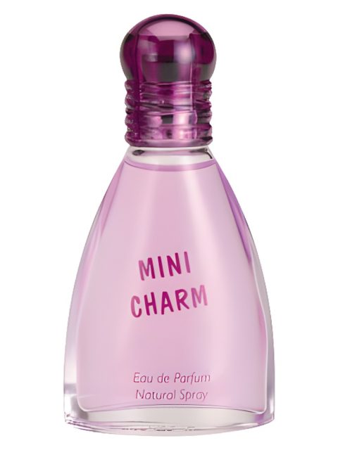 Mini Charm