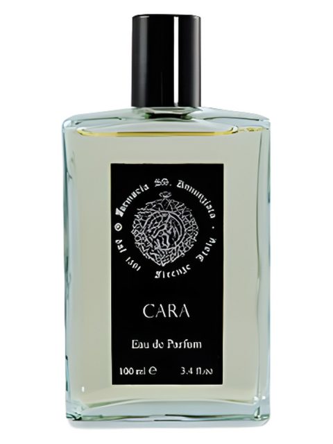 Cara