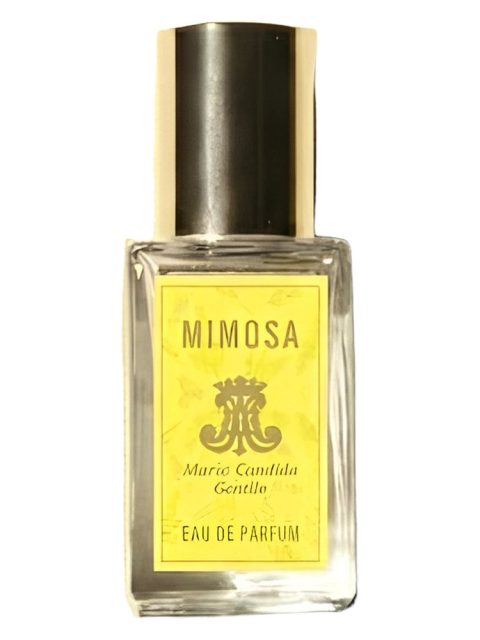 Mimosa