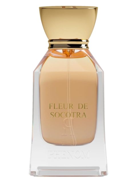 Fleur de Socotra