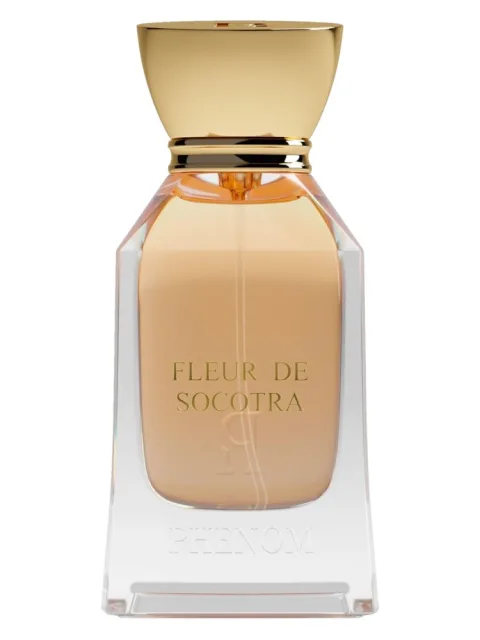 Fleur de Socotra