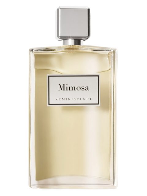 Mimosa