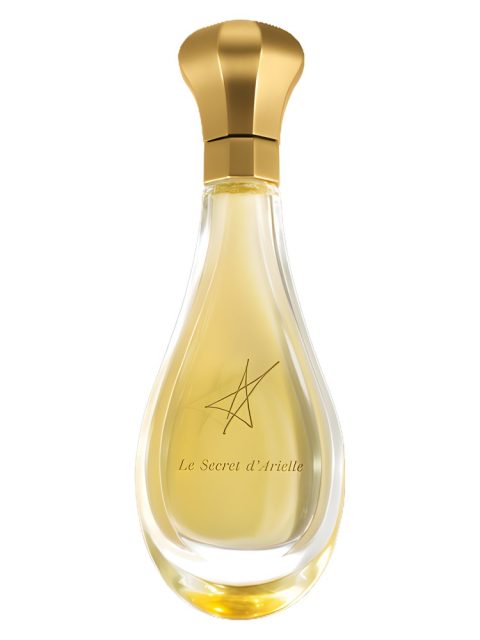 Le Secret d'Arielle Extrait