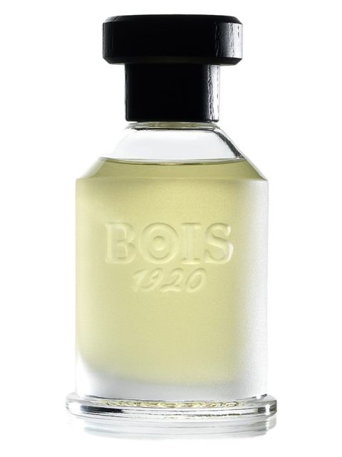 Rosa 23