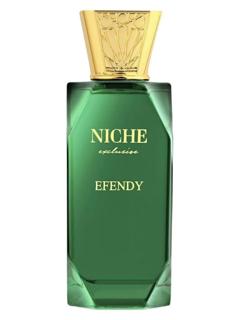 Efendy