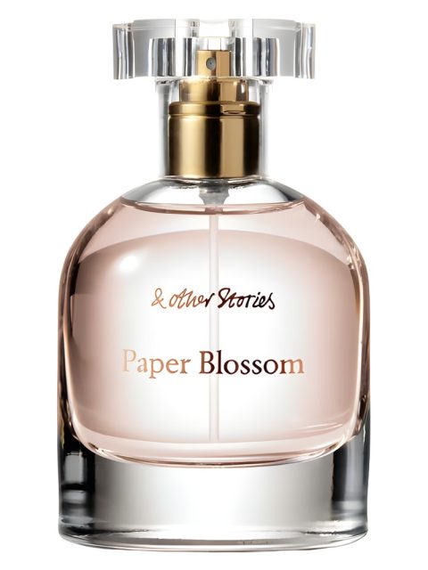 Paper Blossom