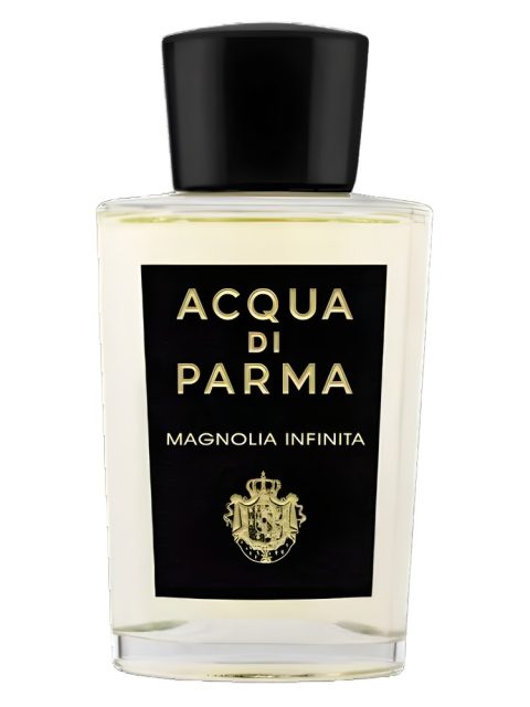 Magnolia Infinita