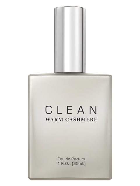 Clean Warm Cashmere
