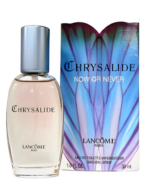 Chrysalide Now or Never