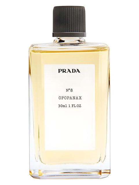No8 Opopanax