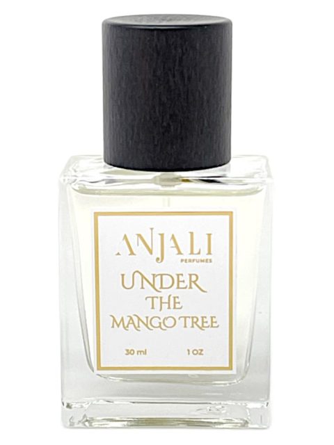 Under the Mango Tree