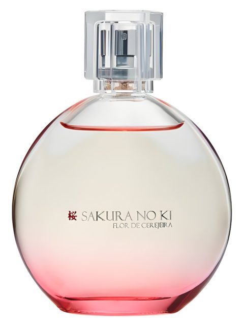 Sakura No Ki Flor de Cerejeira