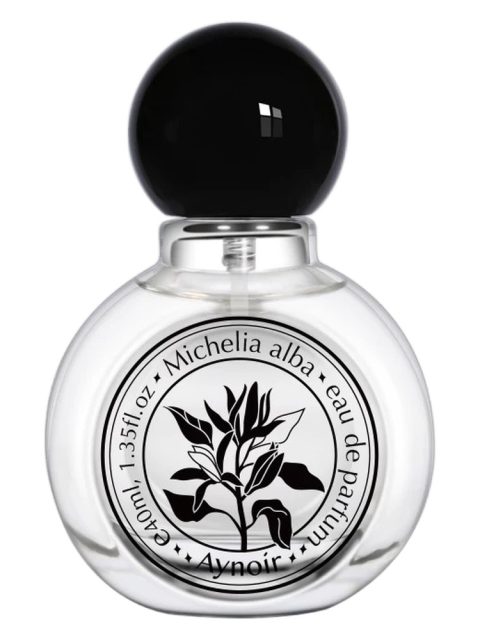 Michelia Alba 白兰
