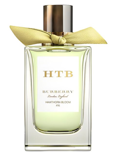 Hawthorn Bloom