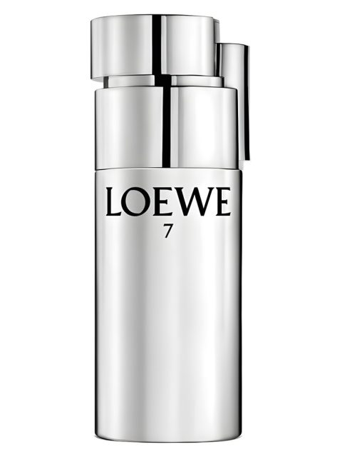 Loewe 7 Plata