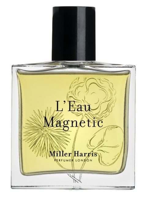 L'Eau Magnetic