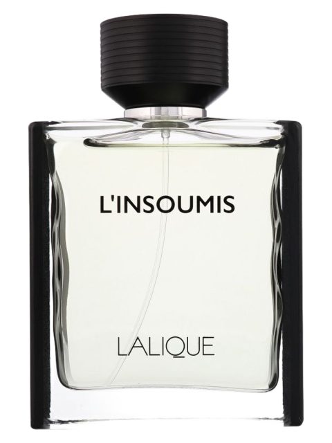 L'Insoumis