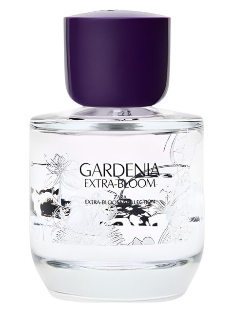 Gardenia Extra-Bloom