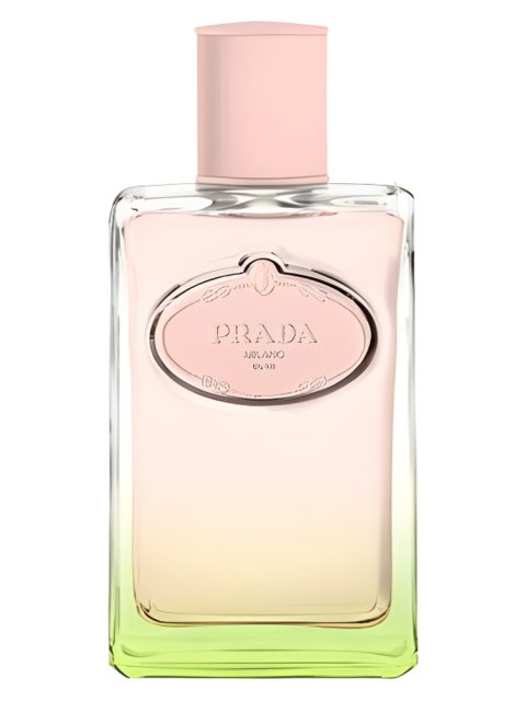 Infusion d'Iris L'Eau d'Iris