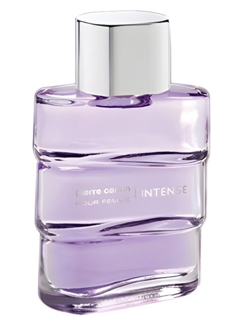 Pierre Cardin pour Femme l'Intense