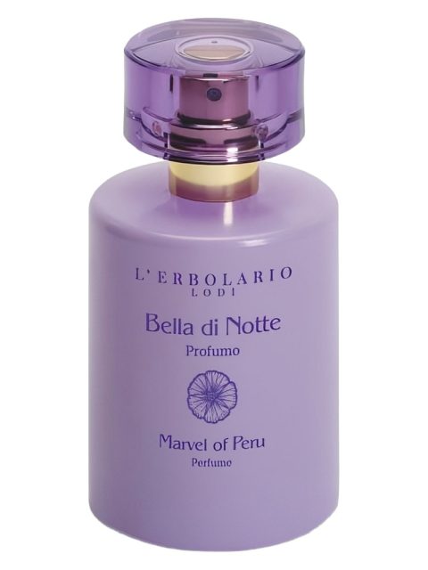 Bella di Notte (Marvel of Peru)