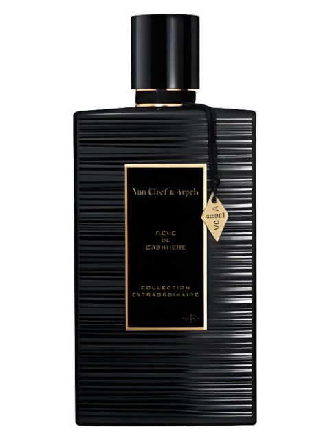 Rêve de Cashmere